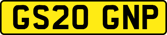 GS20GNP