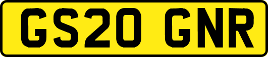 GS20GNR