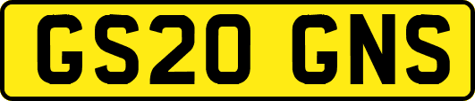 GS20GNS