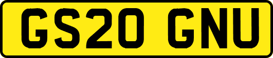 GS20GNU