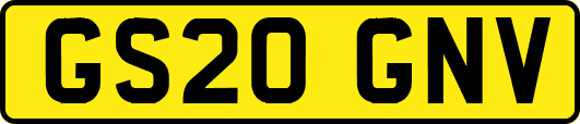 GS20GNV
