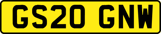 GS20GNW