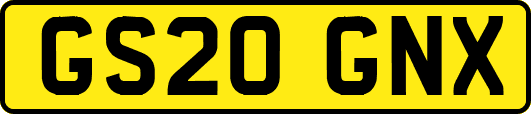 GS20GNX