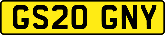 GS20GNY