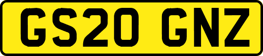 GS20GNZ