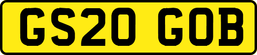 GS20GOB