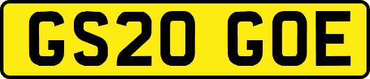 GS20GOE