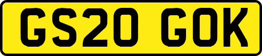 GS20GOK