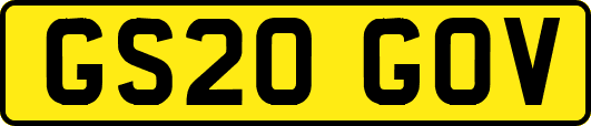 GS20GOV