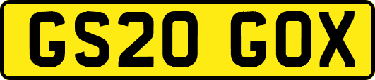 GS20GOX