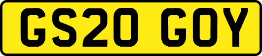 GS20GOY