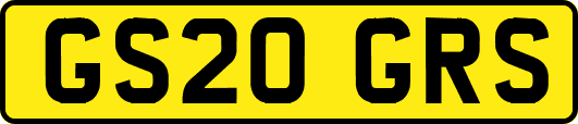 GS20GRS