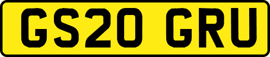 GS20GRU