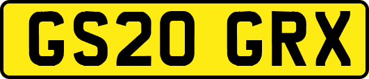 GS20GRX