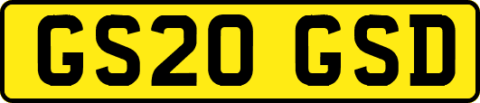 GS20GSD