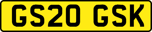 GS20GSK