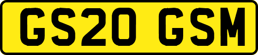 GS20GSM