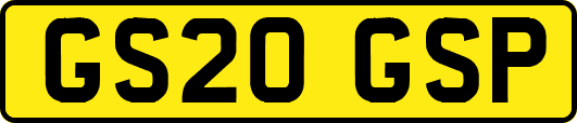 GS20GSP