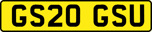 GS20GSU