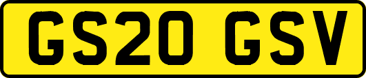 GS20GSV
