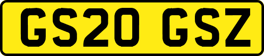 GS20GSZ