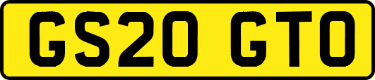 GS20GTO