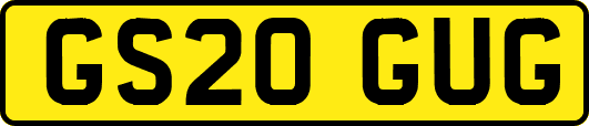 GS20GUG