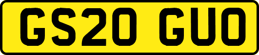 GS20GUO
