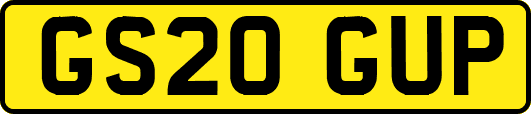 GS20GUP