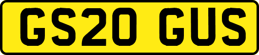 GS20GUS