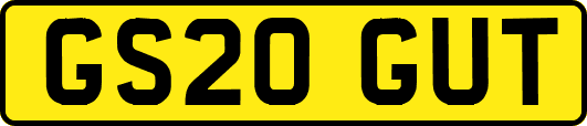 GS20GUT
