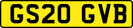 GS20GVB