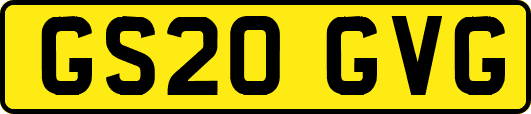 GS20GVG