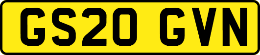 GS20GVN
