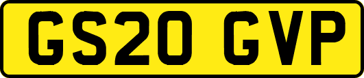 GS20GVP