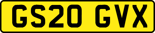 GS20GVX