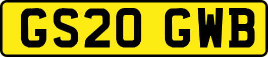 GS20GWB