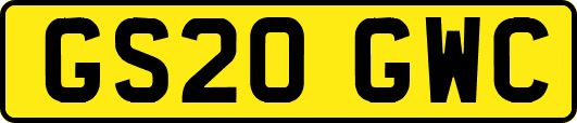 GS20GWC
