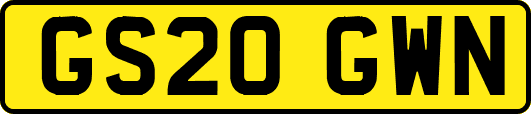 GS20GWN