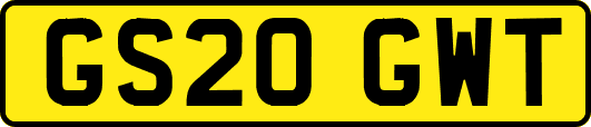 GS20GWT