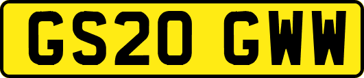 GS20GWW