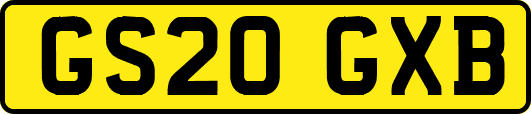 GS20GXB