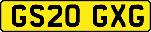 GS20GXG