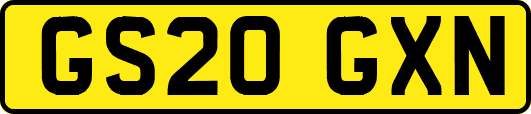 GS20GXN