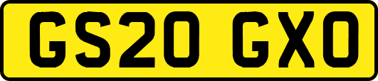 GS20GXO