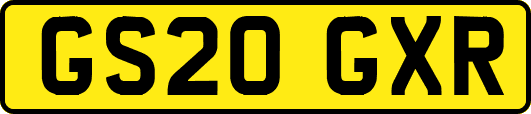 GS20GXR
