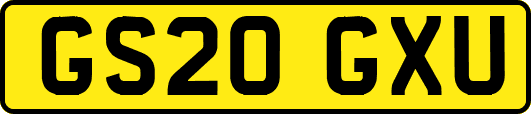 GS20GXU
