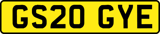 GS20GYE