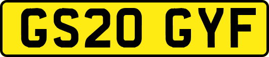 GS20GYF