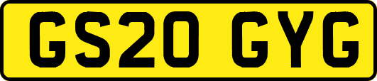 GS20GYG